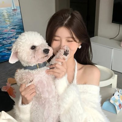 穿靴子的猫2
